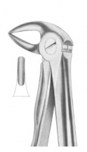  Fig. 33B lower roots 